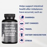 Cat Probiotic Capsules - Manufacturer - 6B CFU 8 Strains Prebiotic Postbiotic Digestion Immune