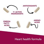 Coenzyme Q10 Capsules - Manufacturer - Hawthorn Ginger Blood Circulation Heart Muscle Pet