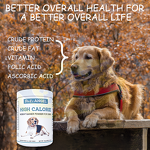 Dog Muscle Gain Chew - Manufacturer - N in 1 Grain-Free High Protein Natural Ingredients Pets
