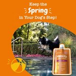 Dog Hip Joint Supplement - Manufacturer - Glucosamine Chondroitin MSM Functional Mobility