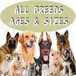 Dog Muscle Builder Supplement - Manufacturer - Private Logo High Protein Pet Muscle Gain