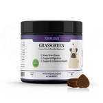 Probiotic Soft Chews - Manufacturer - Wholesale Private Label Grass Green for Dogs Cats