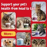 Cat Probiotic Supplement - Manufacturer - Private Label Bifidobacterium Enterococcus Pet Health