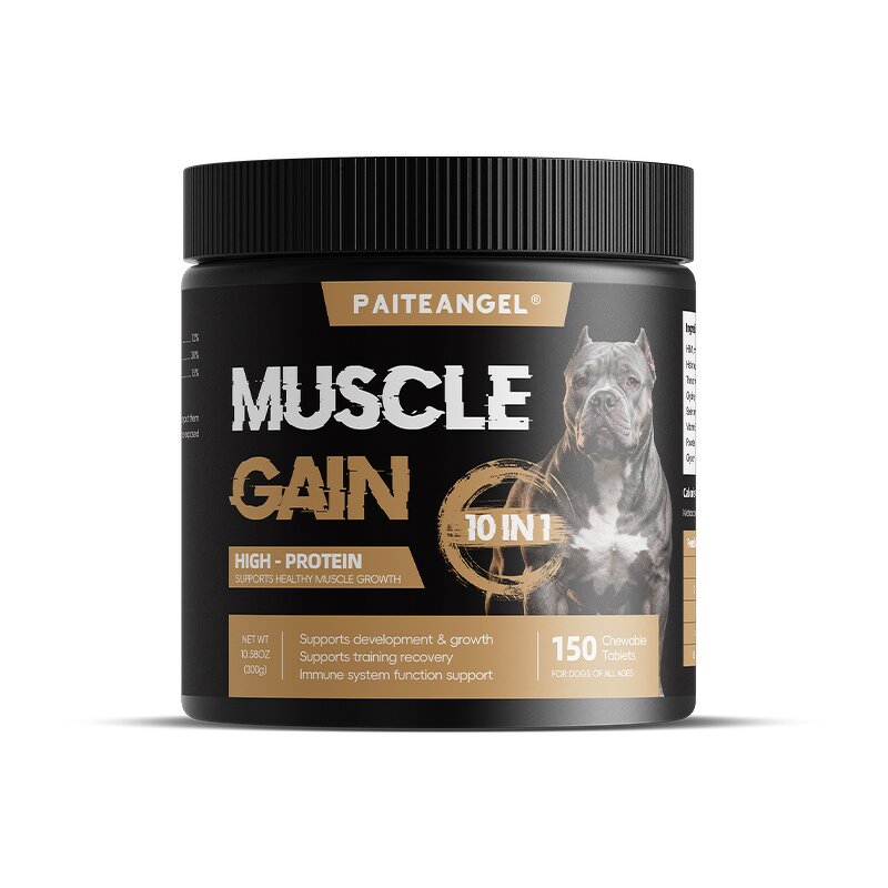 Dog Muscle Gain Supplement - Manufacturer - Soft Chews Powder Development Recovery Body Mass