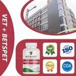 Dog Vitamin Tablets - Manufacturer - High Quality Custom Vitamin A & E Pet Health Care