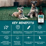 Pet Hemp Oil Supplement - Manufacturer - Customization Dog Gut Joint Health Hemp Oil Cats