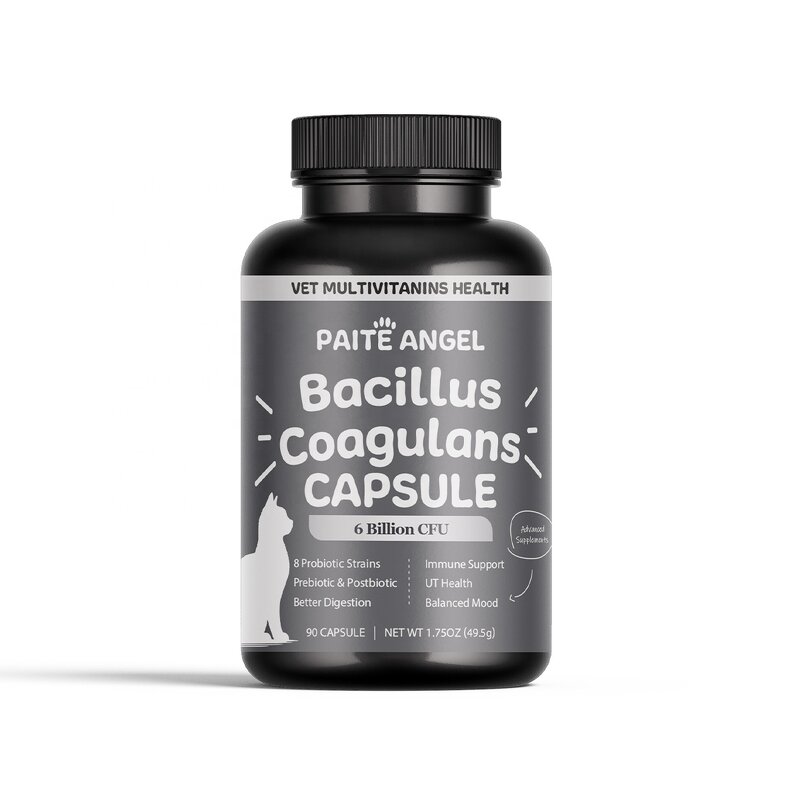 Cat Probiotic Capsules - Manufacturer - 6B CFU 8 Strains Prebiotic Postbiotic Digestion Immune
