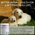 Gestamate Dog Supplement - Manufacturer - Botanical Blend Pregnant Post Breeding Whelp Weaning