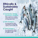 Wild Fish Oil Softgels - Manufacturer - Custom RTG 3X Absorption Heart Brain Joint 90% Ultra-Pure