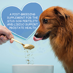 Stud Dog Fertility Powder - Manufacturer - Custom Brand Vitamins Breeding Stamina Promote