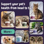 Cat Gut Health Supplement - Manufacturer - Private Label Fiber Enzymes Digestive Health Care