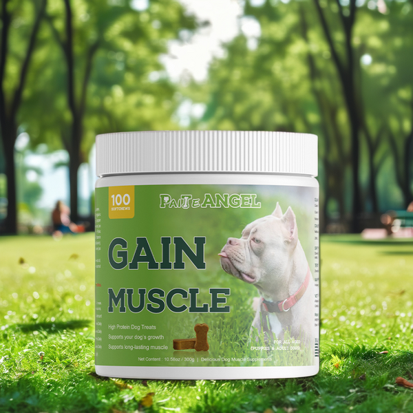 Dog Muscle Gain Supplement - Manufacturer - Premium Pet Health Care Nutrition Supplement