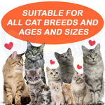 Cat Kidney Supplement - Manufacturer - OEM Private Label Nutrition Urinary Kidney Function