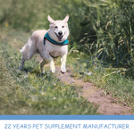 Dog Prenatal Vitamins - Manufacturer - Professional Custom Fertility Supplement Successful Cycle