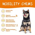 Lifestage Supplement