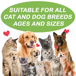 Pet Herbal Supplement - Manufacturer - Oem&Odm Lung Immunity Respiratory Health Dog Cat Oil