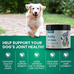 Dog Hip Joint Supplement - Manufacturer - Glucosamine Chondroitin MSM Hemp Seed Oil Pain Relief