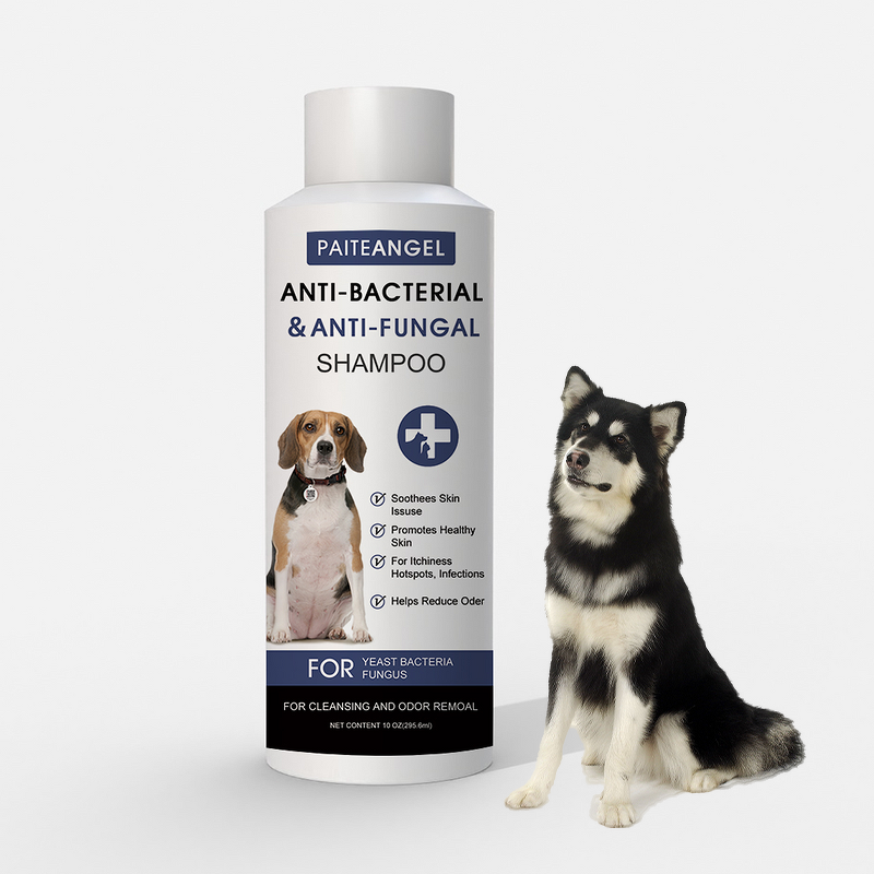 Dog Shampoo Conditioner - Manufacturer - Custom Brand Organic Anti-Bacterial Anti-Fungal Irritation