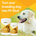 Puppy Health Supplement - Manufacturer - Pet Health Care Optimal Puppy Wellness Nutrition