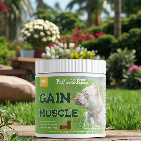 Dog Muscle Gain Supplement - Manufacturer - Custom Flavor Optimal Pet Health Care Nutrition