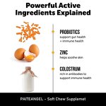 Dog Allergy Relief Chew - Manufacturer - Omega 3 Pumpkin Hot Spot Itchy Skin Treatment Soft