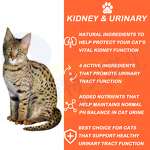Cat Kidney Supplement - Manufacturer - OEM Private Label Nutrition Urinary Kidney Function