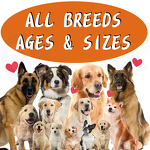 Dog Skin Coat Chew - Manufacturer - Custom Brand ODM Salmon Oil Soft Smooth Pet Supplement