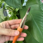 化妆刷厂家-纯素木柄粉底刷