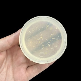 Makeup Brush Cleaner Manufacturer - Mini Soap Jar with Sticker