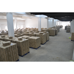 Alpinia Galanga Extract Manufacturer - 10:1 & Bulk ISO HALAL