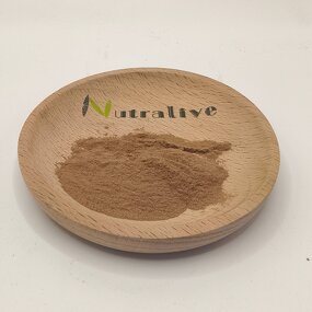 Rehmannia Glutinosa Extract Manufacturer - 10:1, ISO & HALAL Certified