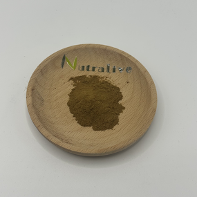 Crateva Magna Extract Manufacturer - Bulk Supply & ISO HALAL