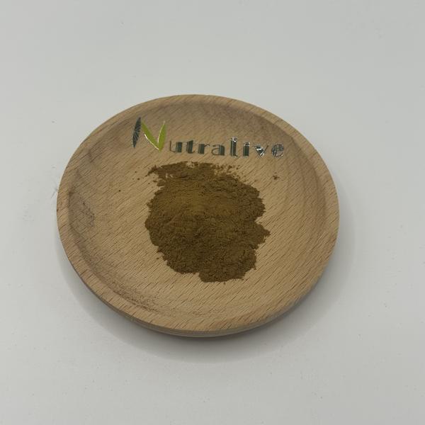 Crateva Magna Extract Manufacturer - Bulk Supply & ISO HALAL