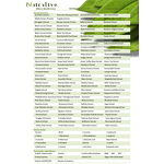 L-Ergothioneine Manufacturer - Cosmetic Grade 99% & ISO HALAL