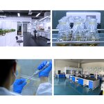 Thyme Extract Manufacturer - Thymus Vulgaris