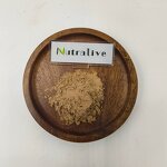 Trametes Versicolor Powder Manufacturer - 100% Pure Natural Organic