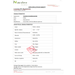 L-Cysteine HCL Monohydrate Manufacturer - Bulk Supply