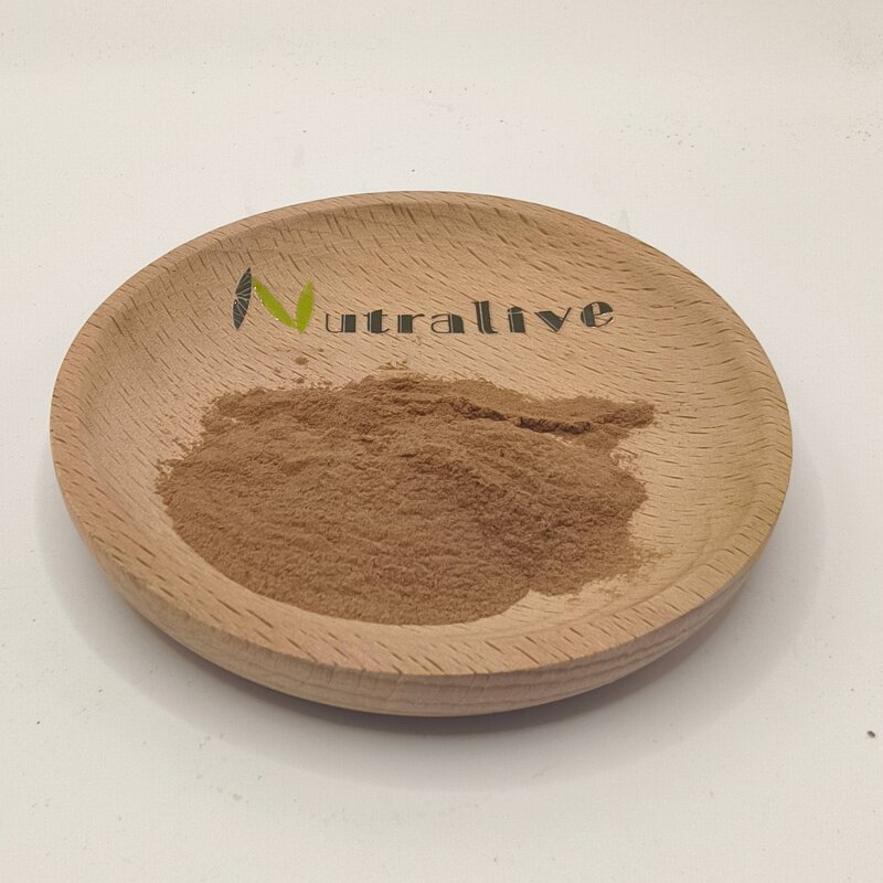 Wolfiporia Cocos Extract Manufacturer - Bulk Supply