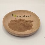 Ziziphus Jujube Extract Manufacturer - 30:1 & Bulk ISO HALAL