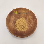 Horse Chestnut Extract Manufacturer - Aesculus Hippocastanum