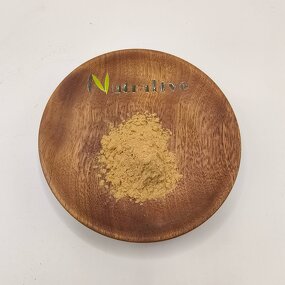 Horse Chestnut Extract Manufacturer - Aesculus Hippocastanum