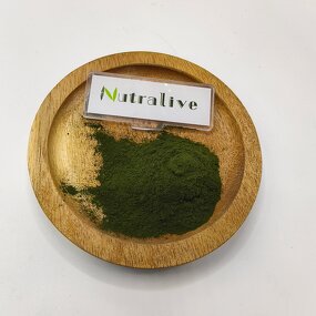 Spirulina Powder Manufacturer - 100% Pure Organic & ISO HALAL