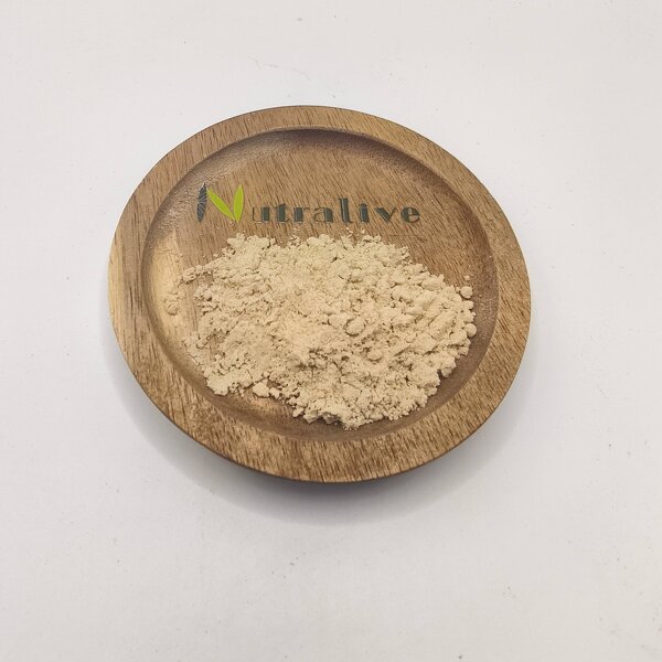 Monk Fruit Extract Manufacturer - Mogroside V 10-40%, 10:1, 20:1