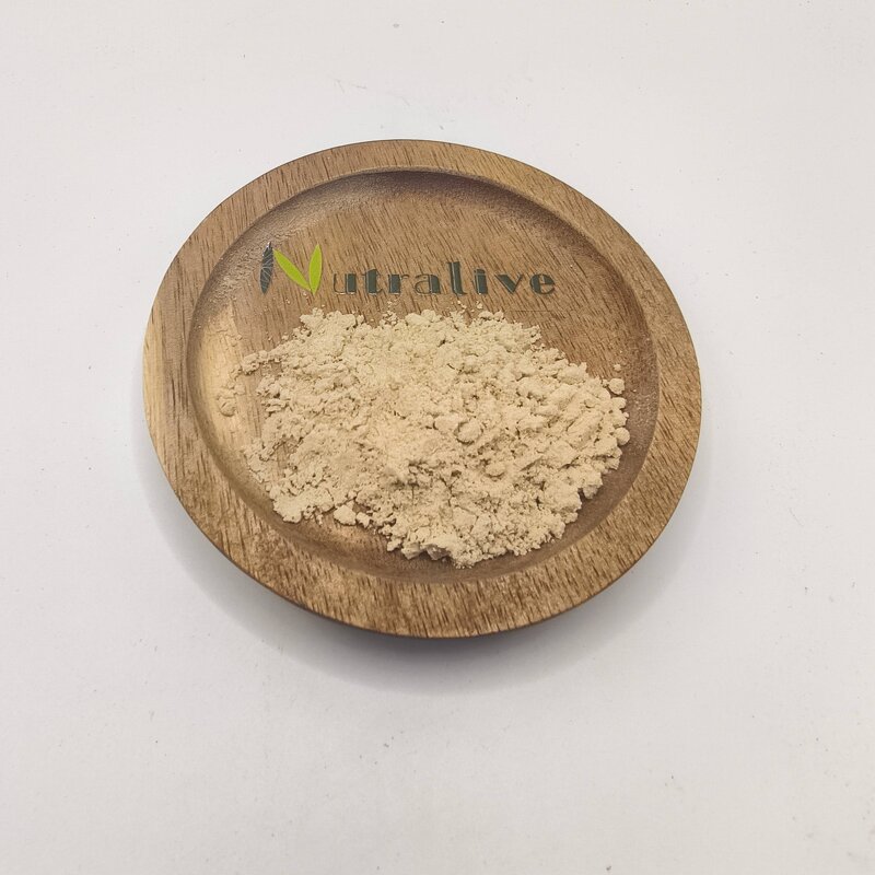 Monk Fruit Extract Manufacturer - Mogroside V 10-40%, 10:1, 20:1