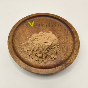 Trametes Versicolor Powder Manufacturer - 100% Pure Natural Organic