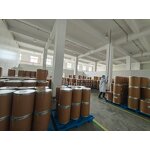 Aframomum Melegueta Powder Manufacturer - Bulk & ISO HALAL