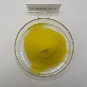 Baikal Skullcap Extract Manufacturer - Scutellaria Baicalensis Georgi