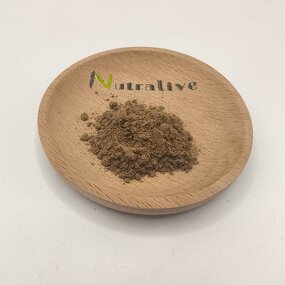 Red Clover Extract Powder Manufacturer - 25-28:1 & 40% Isoflavone