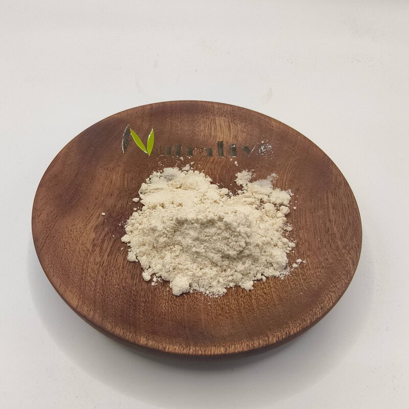 Pomegranate Extract Manufacturer - 40% Ellagic Acid & Bulk ISO HALAL