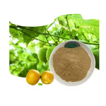 Monk Fruit Extract Manufacturer - Mogroside V 10-40%, 10:1, 20:1